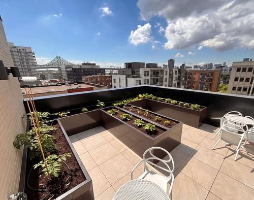 Appartement de 1 chambre à louer à Montreal - Ville-Marie — photo 11