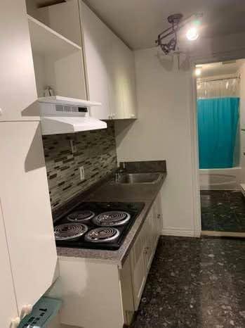 Studio à louer à Montreal - Mercier–Hochelaga-Maisonneuve — photo 4