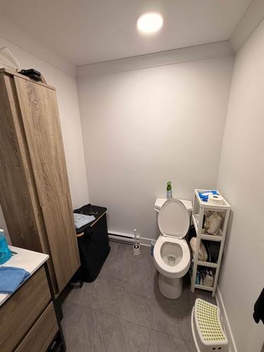 Appartement de 1 chambre à louer à Montreal - Rivière-des-Prairies–Pointe-aux-Trembles — photo 13