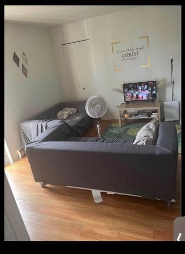 Appartement de 1 chambre à louer à Montreal - Le Plateau-Mont-Royal — photo 5
