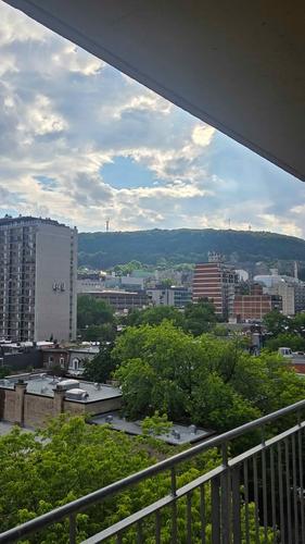 Appartement de 1 chambre à louer à Montreal - Ville-Marie — photo 5