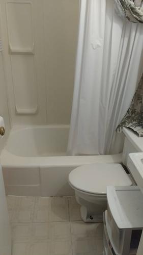 Studio à louer à Québec - Sainte-Foy–Sillery–Cap-Rouge — photo 4