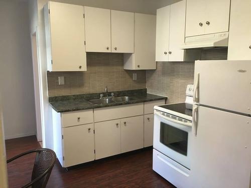 Appartement de 4 chambres à louer à Montreal - Le Plateau-Mont-Royal — photo 12