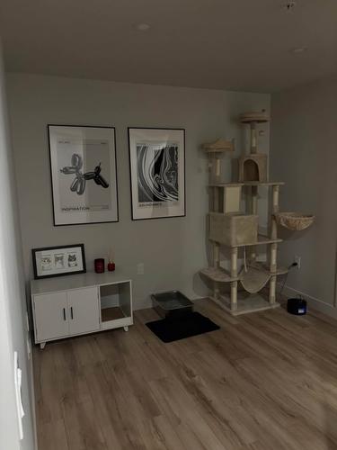 Appartement de 2 chambres à louer à Lévis — photo 5