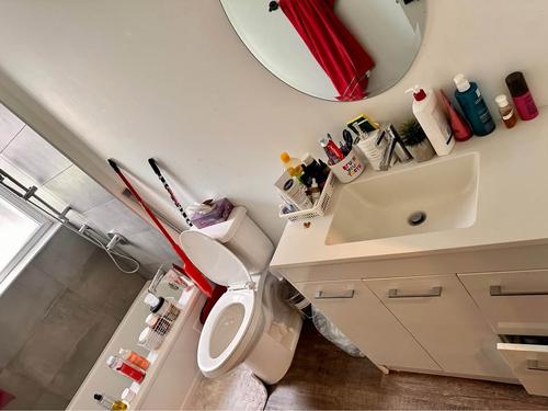 1 bedroom apartment for rent in Montreal - Villeray–Saint-Michel–Parc-Extension — photo 4
