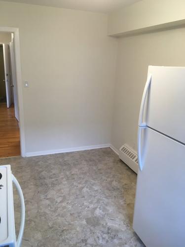 1 bedroom apartment for rent in Montreal - Rosemont–La Petite-Patrie — photo 3