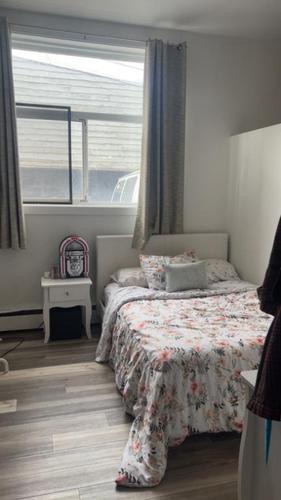 Appartement de 1 chambre à louer à Québec - La Cité-Limoilou — photo 3