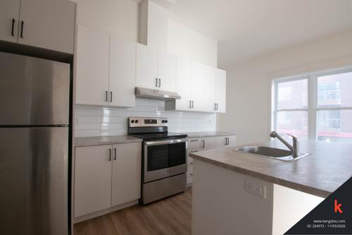 1 bedroom apartment for rent in Montreal - Rosemont–La Petite-Patrie — photo 3
