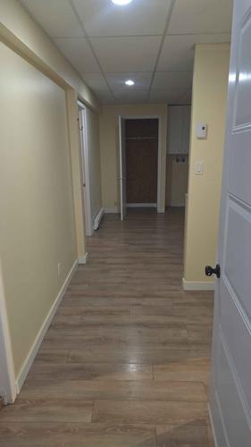 1 bedroom apartment for rent in Lévis — photo 3