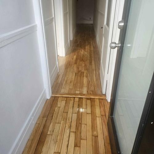 Appartement de 2 chambres à louer à Montreal - Rosemont–La Petite-Patrie — photo 3