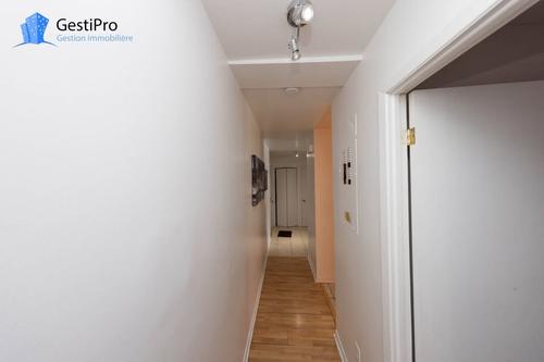 1 bedroom apartment for rent in Lévis — photo 9