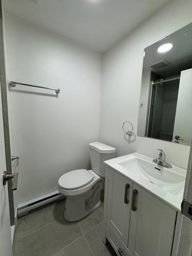 1 bedroom apartment for rent in Montreal - Rosemont–La Petite-Patrie — photo 3