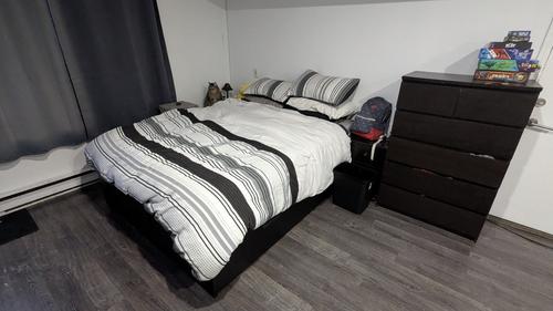 Studio à louer à Montreal - Rosemont–La Petite-Patrie — photo 2