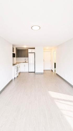 1 bedroom apartment for rent in Montreal - Le Plateau-Mont-Royal — photo 2