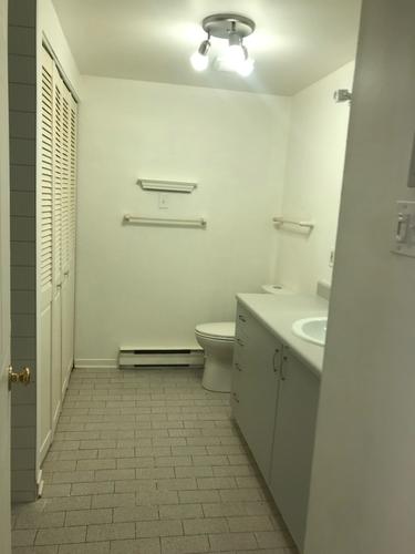 Appartement de 1 chambre à louer à Montreal - Rivière-des-Prairies–Pointe-aux-Trembles — photo 4