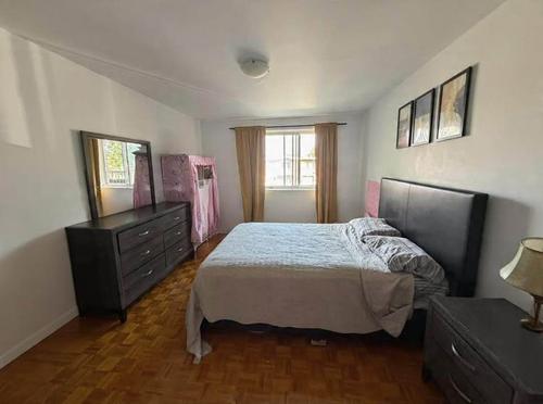1 bedroom apartment for rent in Montreal - Saint-Laurent — photo 6