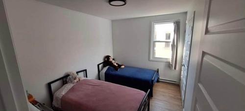 2 bedrooms apartment for rent in Québec - La Cité-Limoilou — photo 5