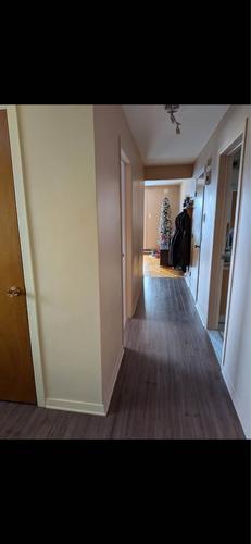 2 bedrooms apartment for rent in Montreal - Rosemont–La Petite-Patrie — photo 3