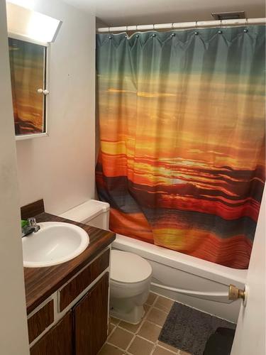 Appartement de 1 chambre à louer à Montreal - Saint-Laurent — photo 4