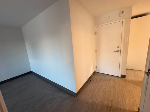 1 bedroom apartment for rent in Montreal - Rosemont–La Petite-Patrie — photo 6
