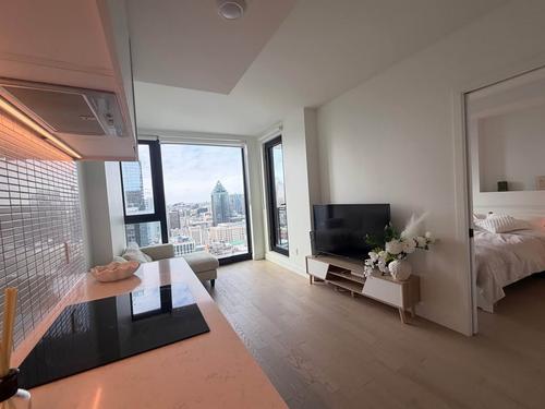 1 bedroom apartment for rent in Montreal - Ville-Marie — photo 7