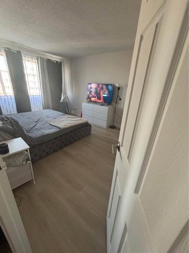 1 bedroom apartment for rent in Montreal - Saint-Laurent — photo 5