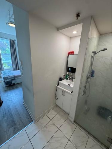 1 bedroom apartment for rent in Montreal - Le Plateau-Mont-Royal — photo 5