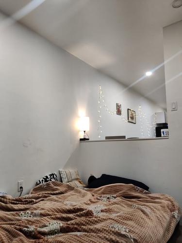 1 bedroom apartment for rent in Montreal - Ville-Marie — photo 7