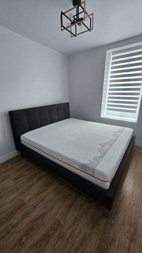 Appartement de 2 chambres à louer à Québec - La Cité-Limoilou — photo 4