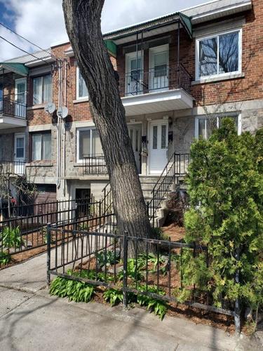 1 bedroom apartment for rent in Montreal - Villeray–Saint-Michel–Parc-Extension — photo 11
