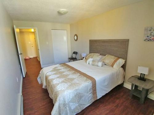 1 bedroom apartment for rent in - — photo 11