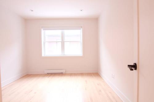 1 bedroom apartment for rent in Montreal - Rosemont–La Petite-Patrie — photo 3
