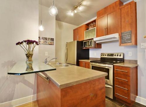 Appartement de 1 chambre à louer à Montreal - Le Plateau-Mont-Royal — photo 3