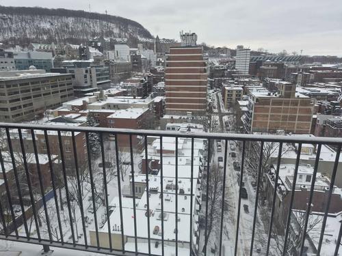 Appartement de 1 chambre à louer à Montreal - Le Plateau-Mont-Royal — photo 10