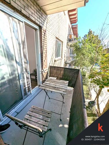 Appartement de 2 chambres à louer à Montreal - Rosemont–La Petite-Patrie — photo 8