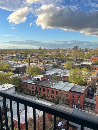 1 bedroom apartment for rent in Montreal - Le Plateau-Mont-Royal — photo 10