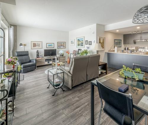 1 bedroom apartment for rent in Lévis — photo 6
