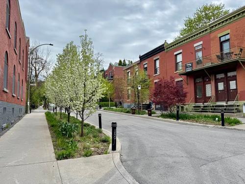 Appartement de 4 chambres à louer à Montreal - Le Plateau-Mont-Royal — photo 5
