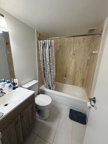 Studio for rent in Montreal - Le Plateau-Mont-Royal — photo 7