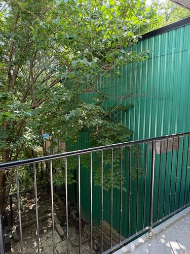 1 bedroom apartment for rent in Montreal - Ville-Marie — photo 4
