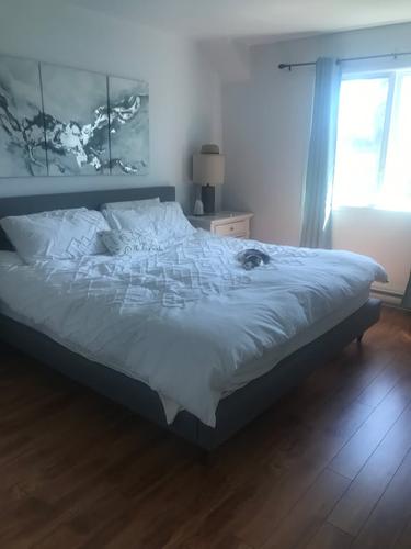 Appartement de 2 chambres à louer à Gatineau — photo 6