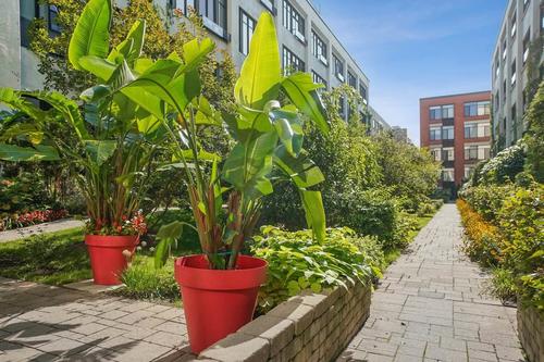 1 bedroom apartment for rent in Montreal - Le Sud-Ouest — photo 13