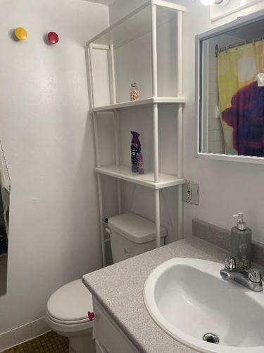 1 bedroom apartment for rent in Montreal - Ville-Marie — photo 10