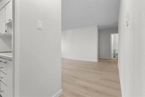 1 bedroom apartment for rent in - — photo 5