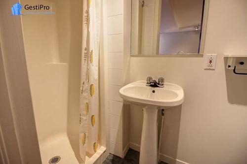 Studio for rent in Québec - La Cité-Limoilou — photo 5