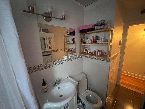 2 bedrooms apartment for rent in Montreal - Le Plateau-Mont-Royal — photo 16