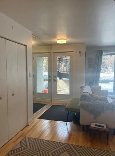 2 bedrooms apartment for rent in Montreal - Le Plateau-Mont-Royal — photo 3