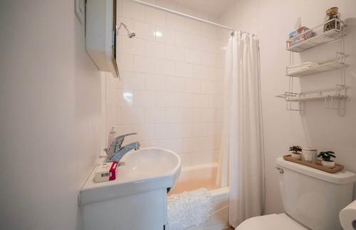 Studio for rent in Montreal - Le Plateau-Mont-Royal — photo 9
