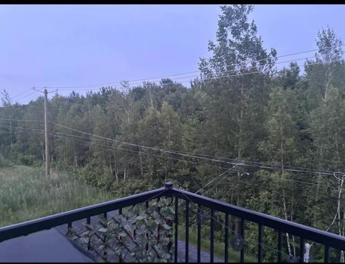 2 bedrooms apartment for rent in Lévis — photo 9