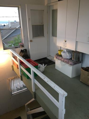1 bedroom apartment for rent in Lévis — photo 17